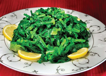 TURP OTU SALATASI