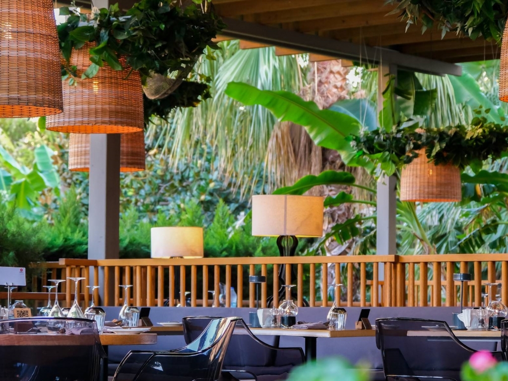 OLİVE RESTAURANT