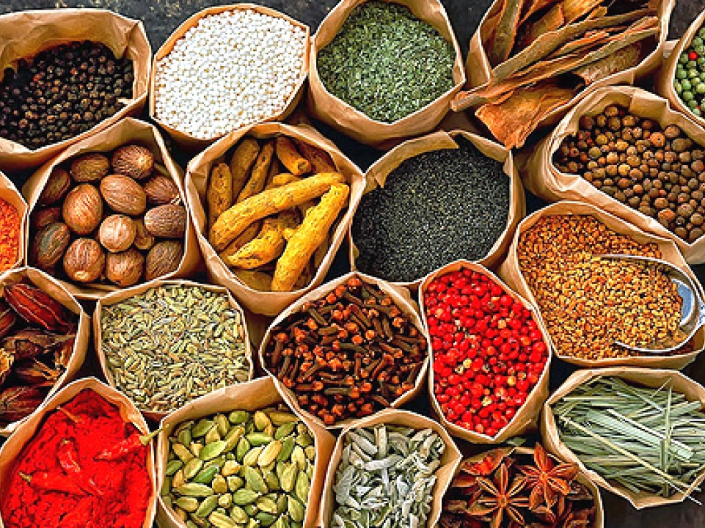 GASTRONOMİ DÜNYASI