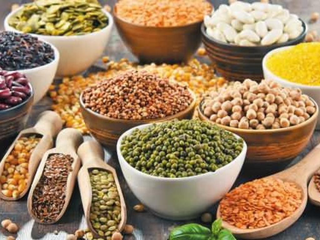 GASTRONOMİNİN TEMELLERİ -2
